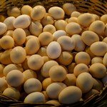 testmonials eggs